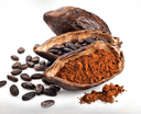 Cacao Powder