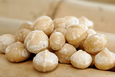 Macadamia Nut