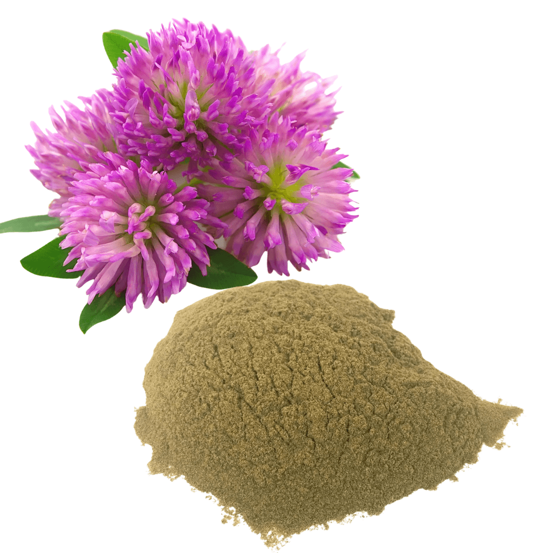 Red Clover Powder