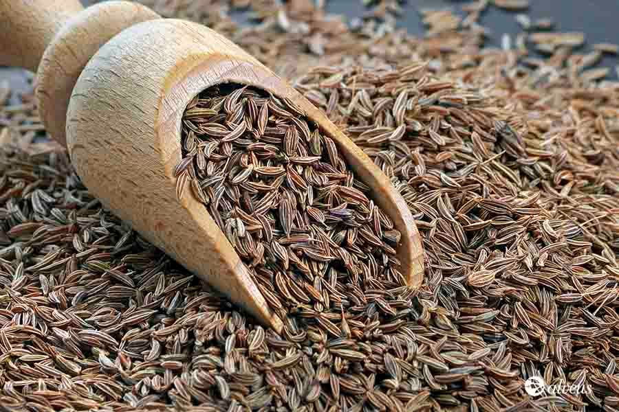 Cumin