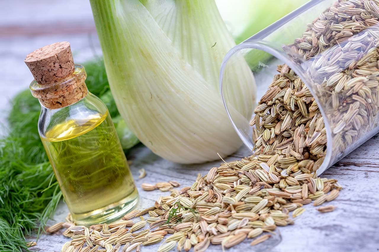 Fennel