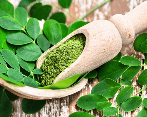 Moringa Powder