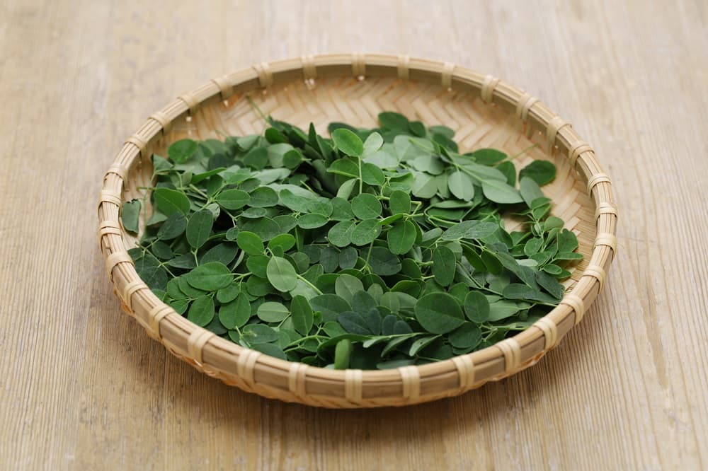 Moringa Leaves