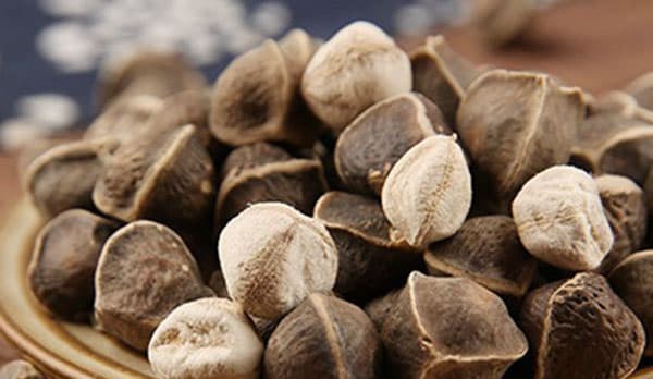 Moringa Seed