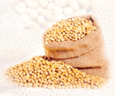 Brazilian Export Quality Soybeans